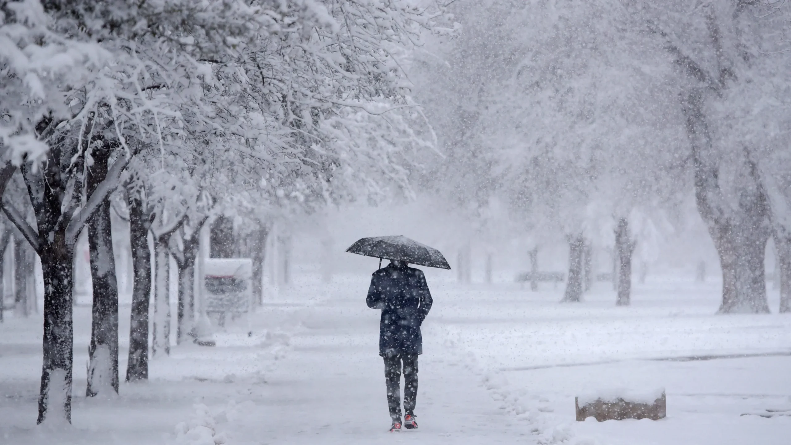 Winter Storm Warning